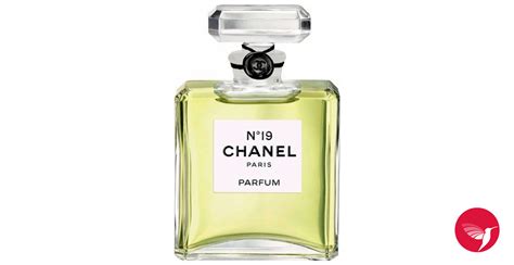 old chanel perfume|perfumes like chanel no 19.